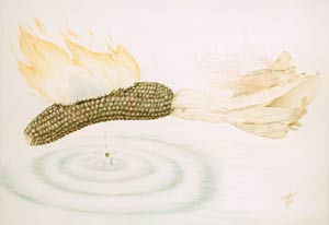 Vier Elemente
