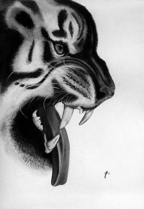 K&ouml;nigstiger